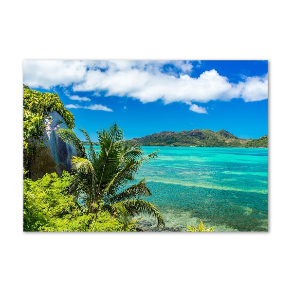 Quadro vetro acrilico Costa delle Seychelles