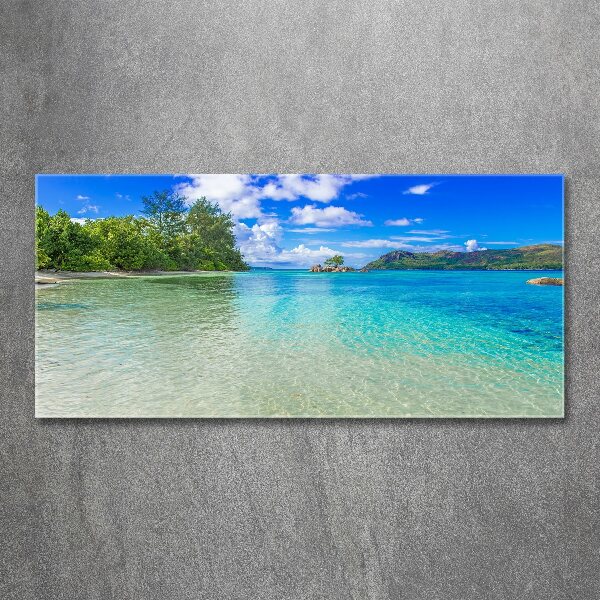 Quadro su vetro acrilico Spiaggia delle Seychelles