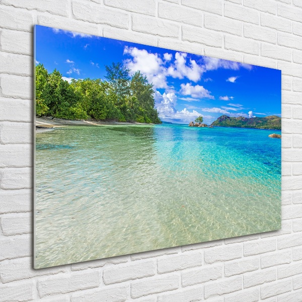 Quadro su vetro acrilico Spiaggia delle Seychelles