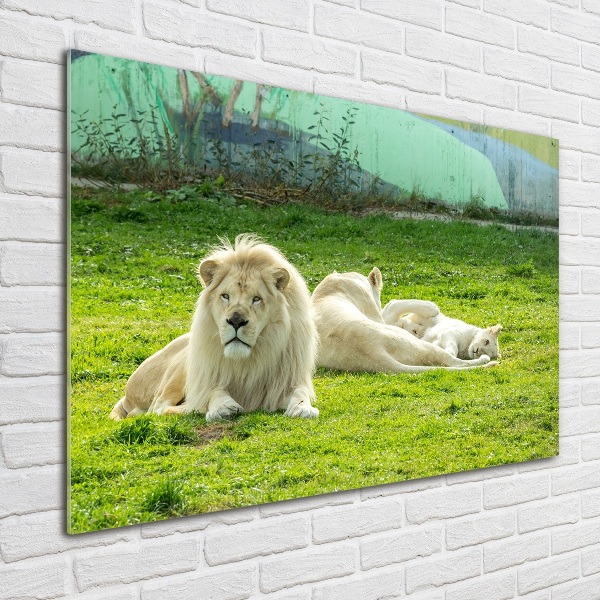 Quadro su vetro acrilico Leoni beige