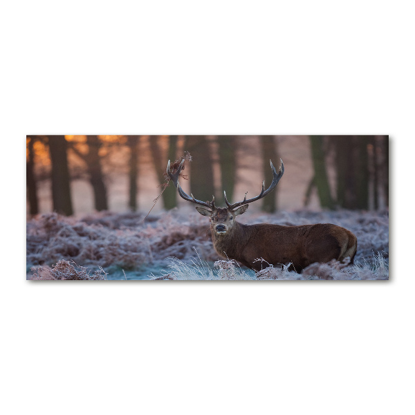 Quadro vetro acrilico Cervi all'alba