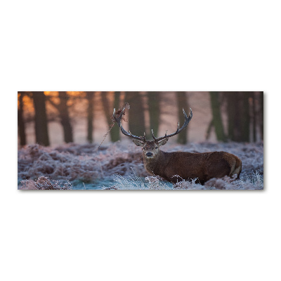 Quadro vetro acrilico Cervi all'alba