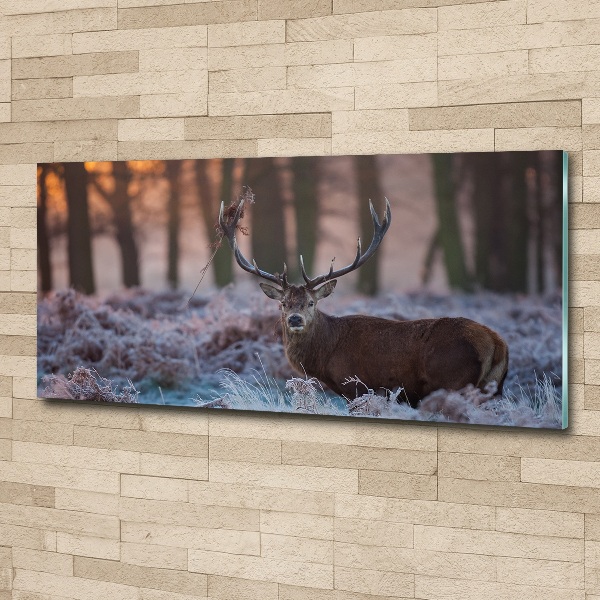 Quadro vetro acrilico Cervi all'alba