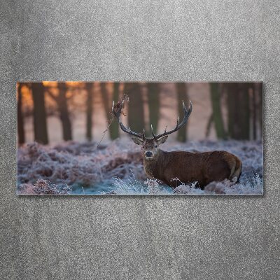 Quadro vetro acrilico Cervi all'alba