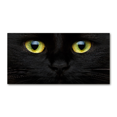 Quadro su vetro acrilico Occhi di gatto