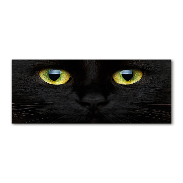 Quadro su vetro acrilico Occhi di gatto