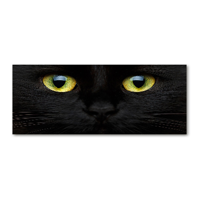 Quadro su vetro acrilico Occhi di gatto