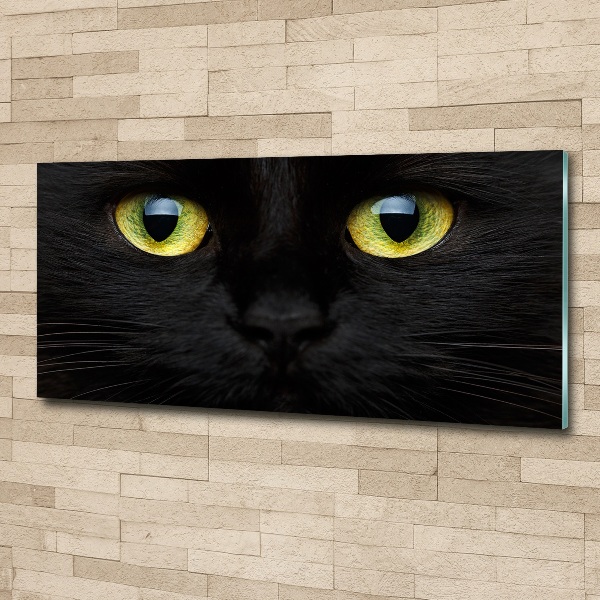 Quadro su vetro acrilico Occhi di gatto