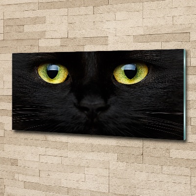 Quadro su vetro acrilico Occhi di gatto