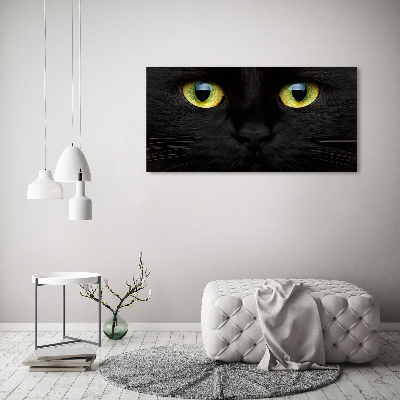 Quadro su vetro acrilico Occhi di gatto