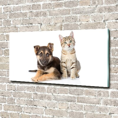 Quadro in vetro acrilico Cane e gatto