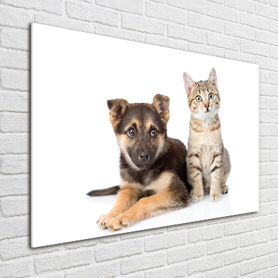 Quadro in vetro acrilico Cane e gatto