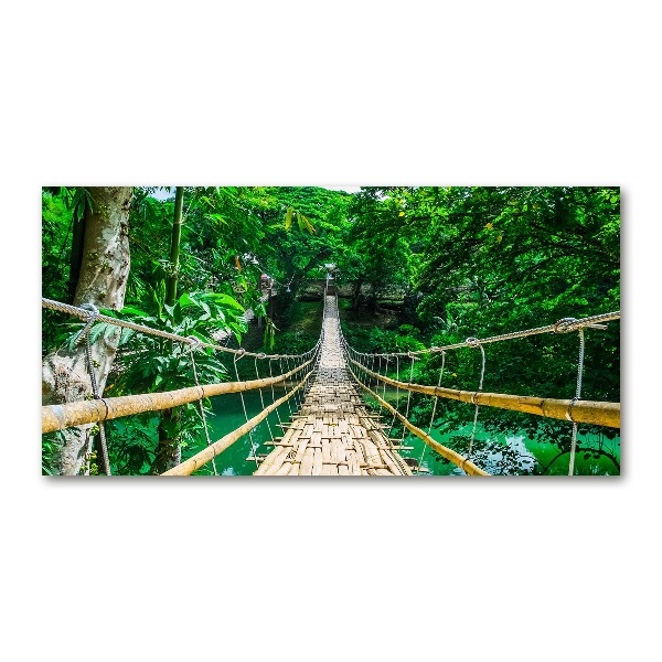 Quadro vetro acrilico Ponte nella foresta tropicale