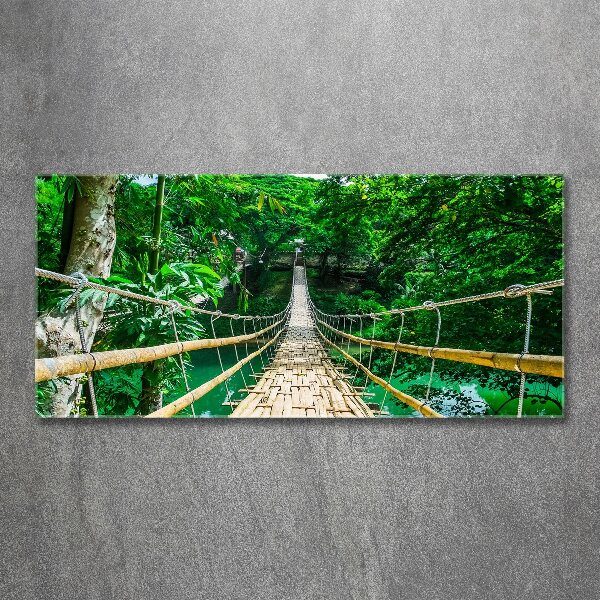 Quadro vetro acrilico Ponte nella foresta tropicale