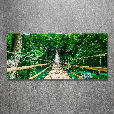 Quadro vetro acrilico Ponte nella foresta tropicale