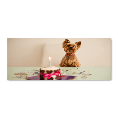 Quadro vetro acrilico Cane con torta