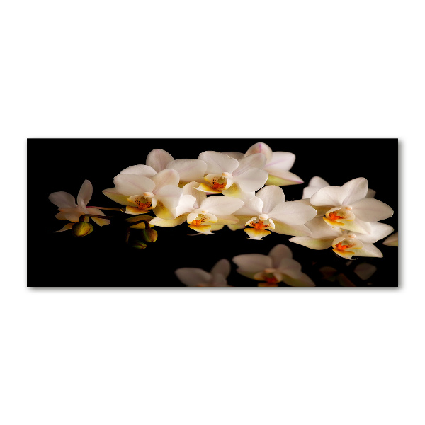 Quadro in vetro acrilico Orchidea