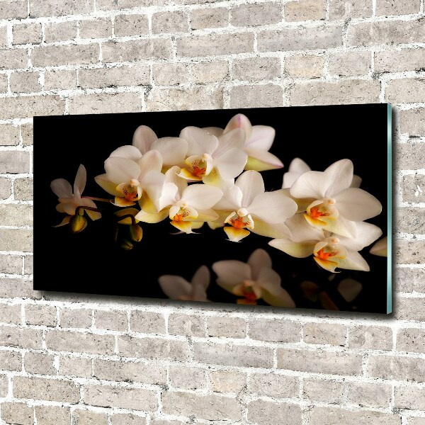 Quadro in vetro acrilico Orchidea