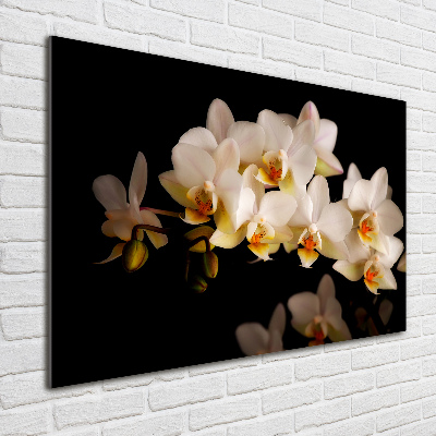 Quadro in vetro acrilico Orchidea