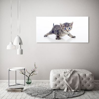 Quadro su vetro acrilico Gattino