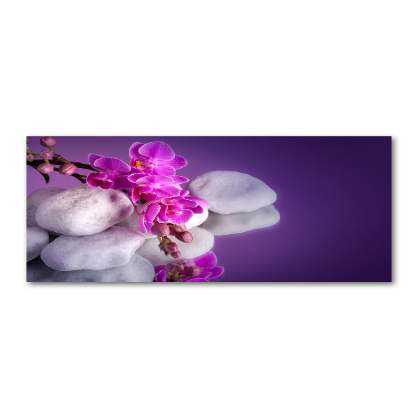 Quadro su vetro acrilico Orchidea