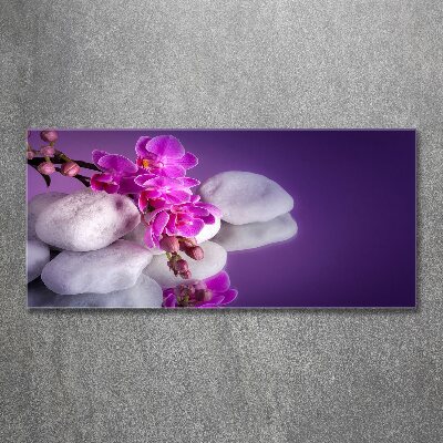 Quadro su vetro acrilico Orchidea