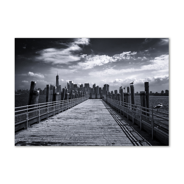 Quadro vetro acrilico Panorama di New York