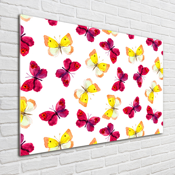 Quadro in vetro acrilico Farfalle e fiori