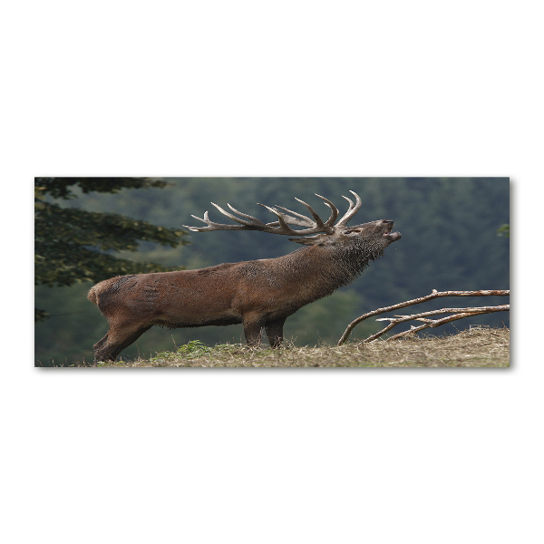 Quadro in vetro acrilico Cervi sulla collina