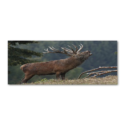 Quadro in vetro acrilico Cervi sulla collina