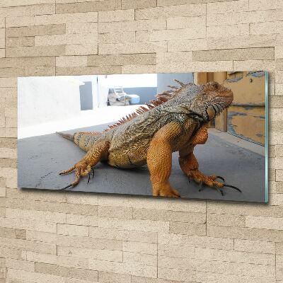 Quadro vetro acrilico Iguana