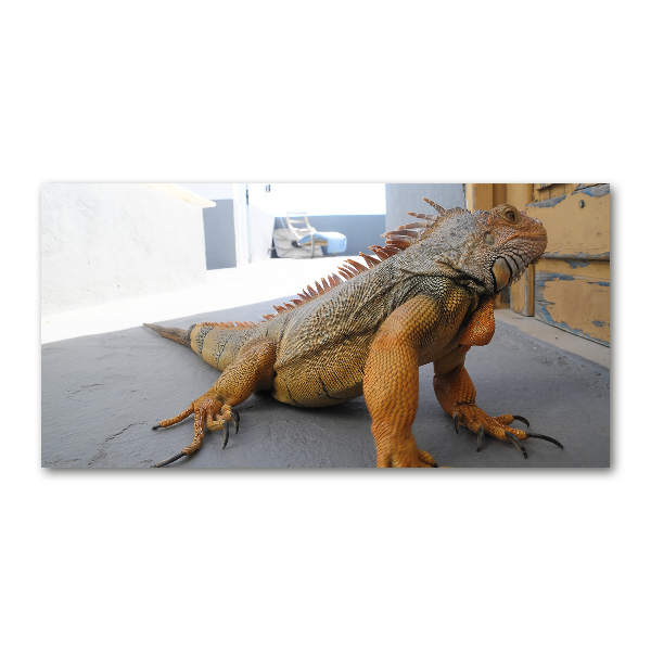 Quadro vetro acrilico Iguana