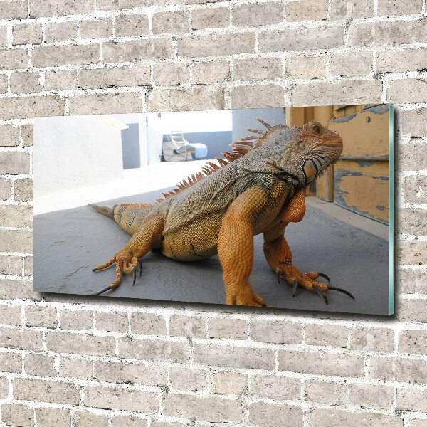 Quadro vetro acrilico Iguana
