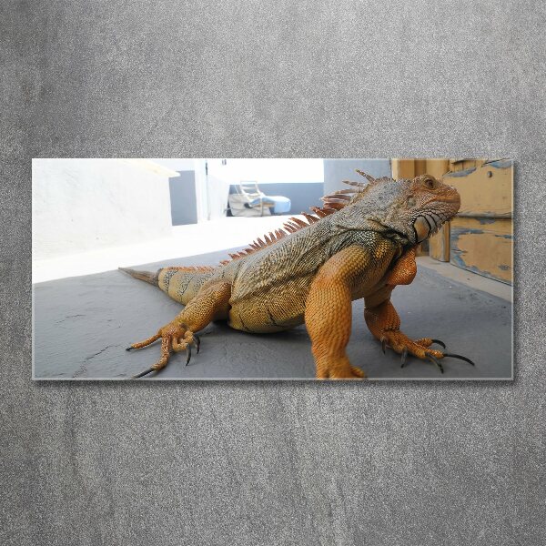 Quadro vetro acrilico Iguana