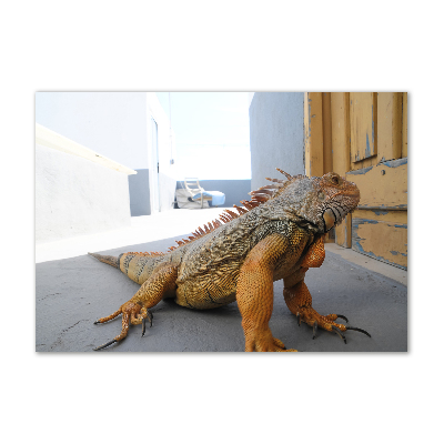 Quadro vetro acrilico Iguana