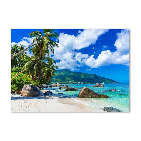 Quadro su vetro acrilico Spiaggia delle Seychelles