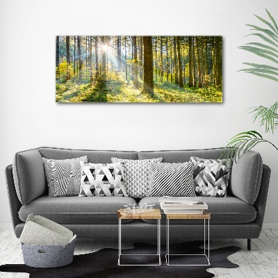 Quadro vetro acrilico Foresta al sole