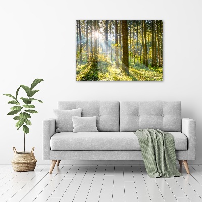Quadro vetro acrilico Foresta al sole
