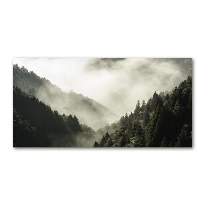 Quadro in vetro acrilico Nebbia sulla foresta