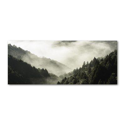 Quadro in vetro acrilico Nebbia sulla foresta