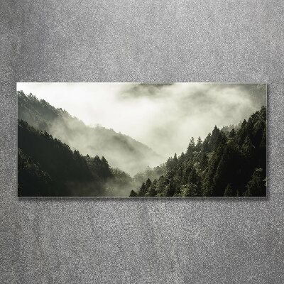 Quadro in vetro acrilico Nebbia sulla foresta