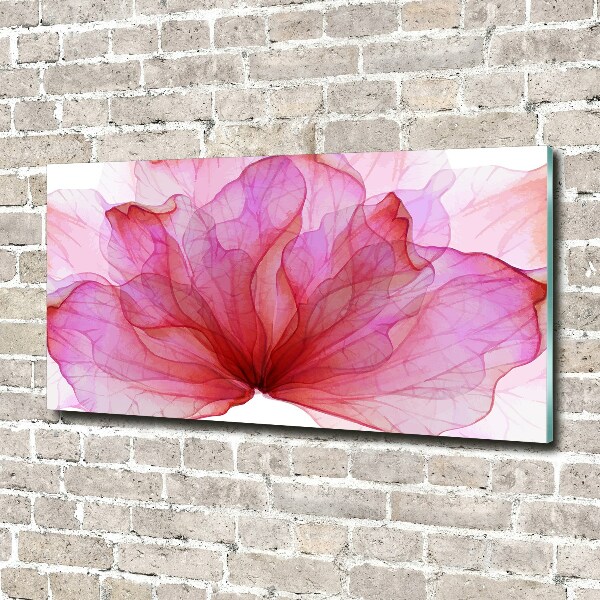 Quadro in vetro acrilico Fiore rosa