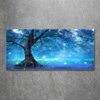 Quadro in vetro acrilico Foresta misteriosa