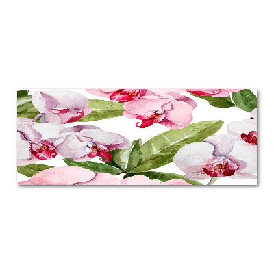 Quadro vetro acrilico Orchidee rosa