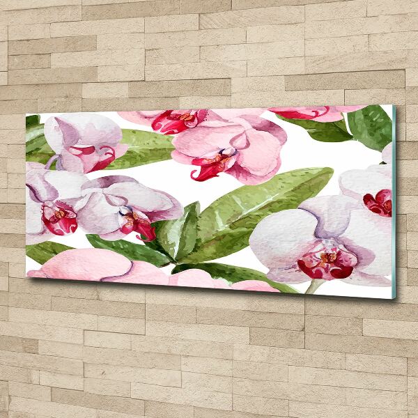 Quadro vetro acrilico Orchidee rosa