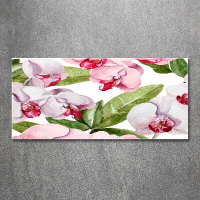 Quadro vetro acrilico Orchidee rosa