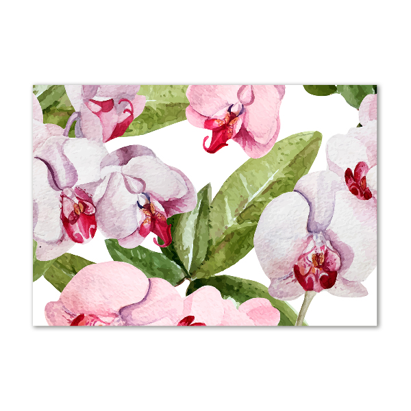 Quadro vetro acrilico Orchidee rosa