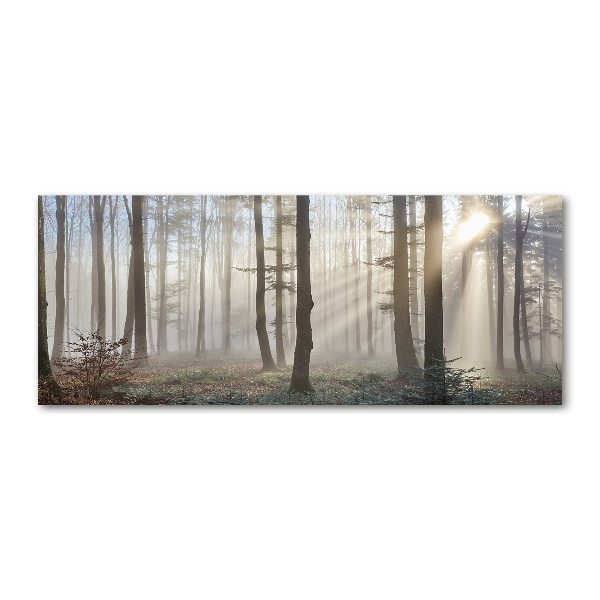Quadro vetro acrilico Nebbia nella foresta