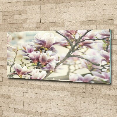 Quadro su vetro acrilico Magnolia