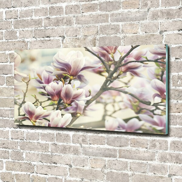 Quadro su vetro acrilico Magnolia